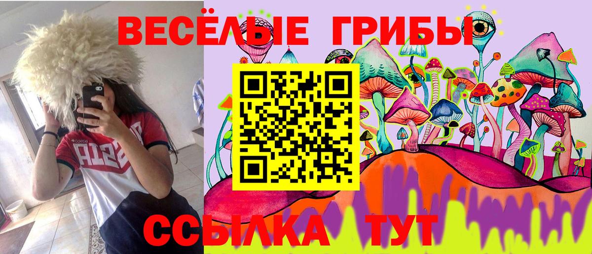 Кировск  где можно купить наркотик  Вход с VPN  Галлюциногенные грибы прущие грибы 